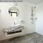 Casa Micle - Free Private Parking 4* Craiova