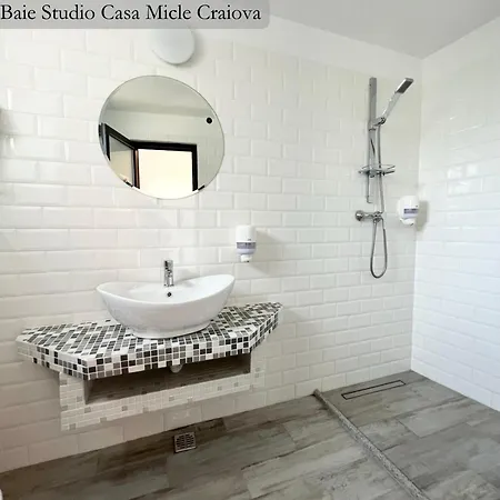Casa Micle - Free Private Parking 4* Craiova