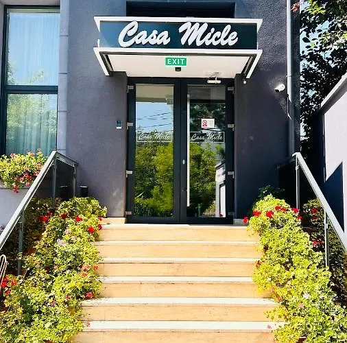 酒店 Casa Micle - Free Private Parking